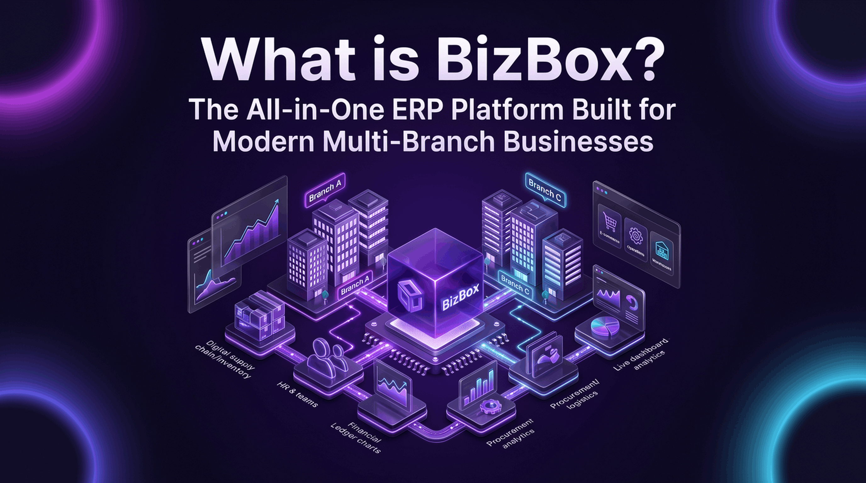 What is BizBox? The All-in-One ERP Platform Built for Modern Multi-Branch Businesses